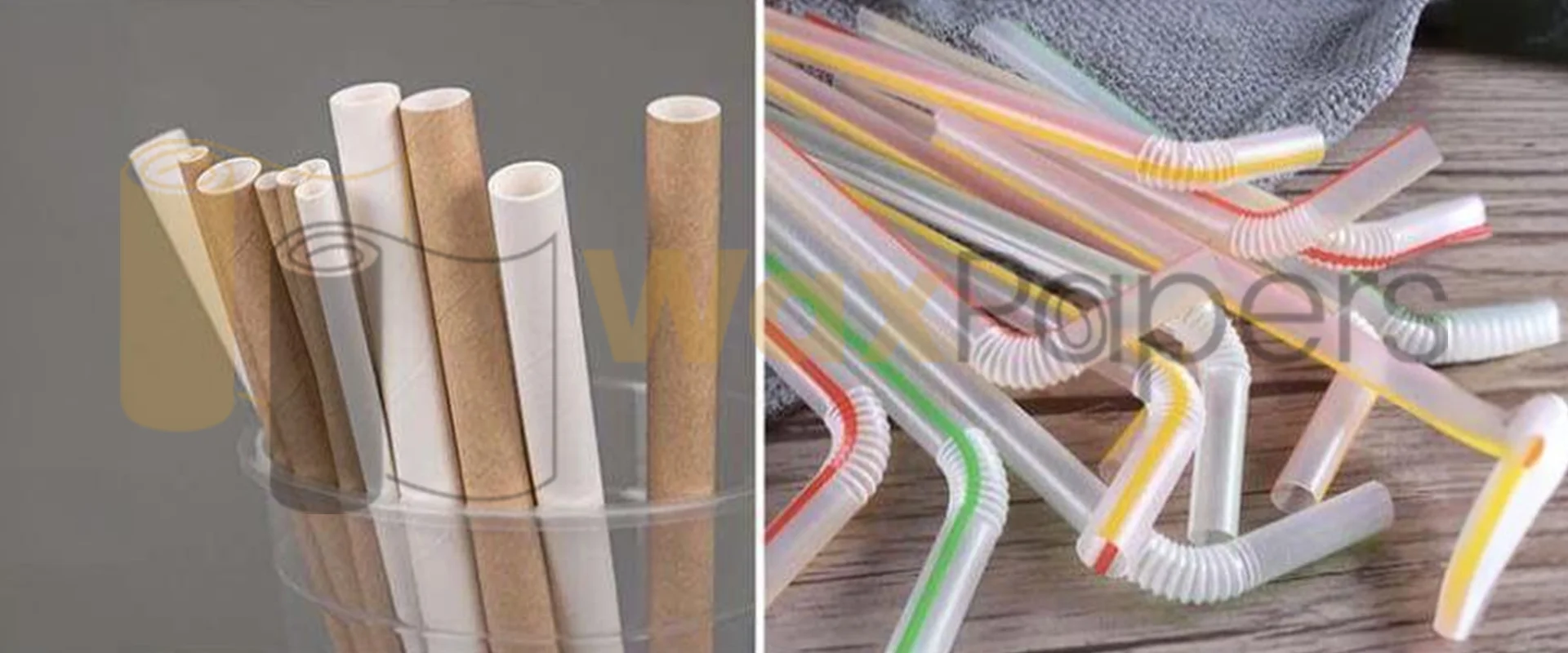 Paper Straws vs Plastic Straws Which One Is Best